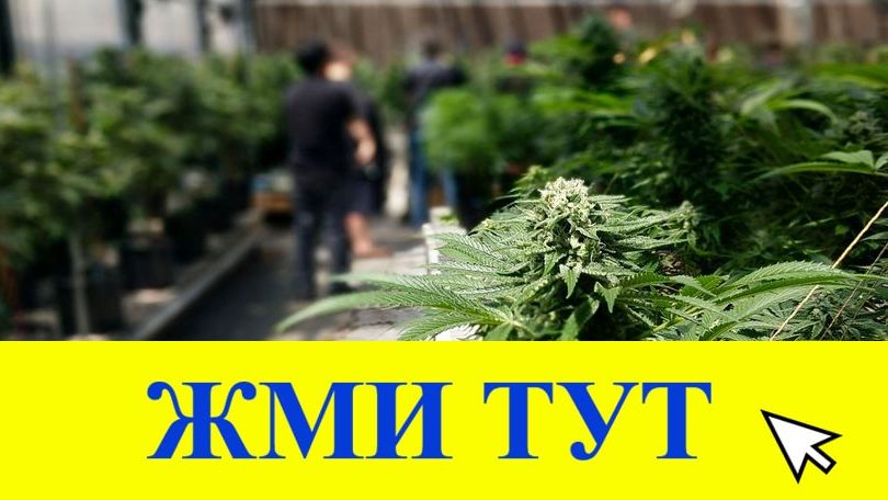 Купить наркотики в Уварово